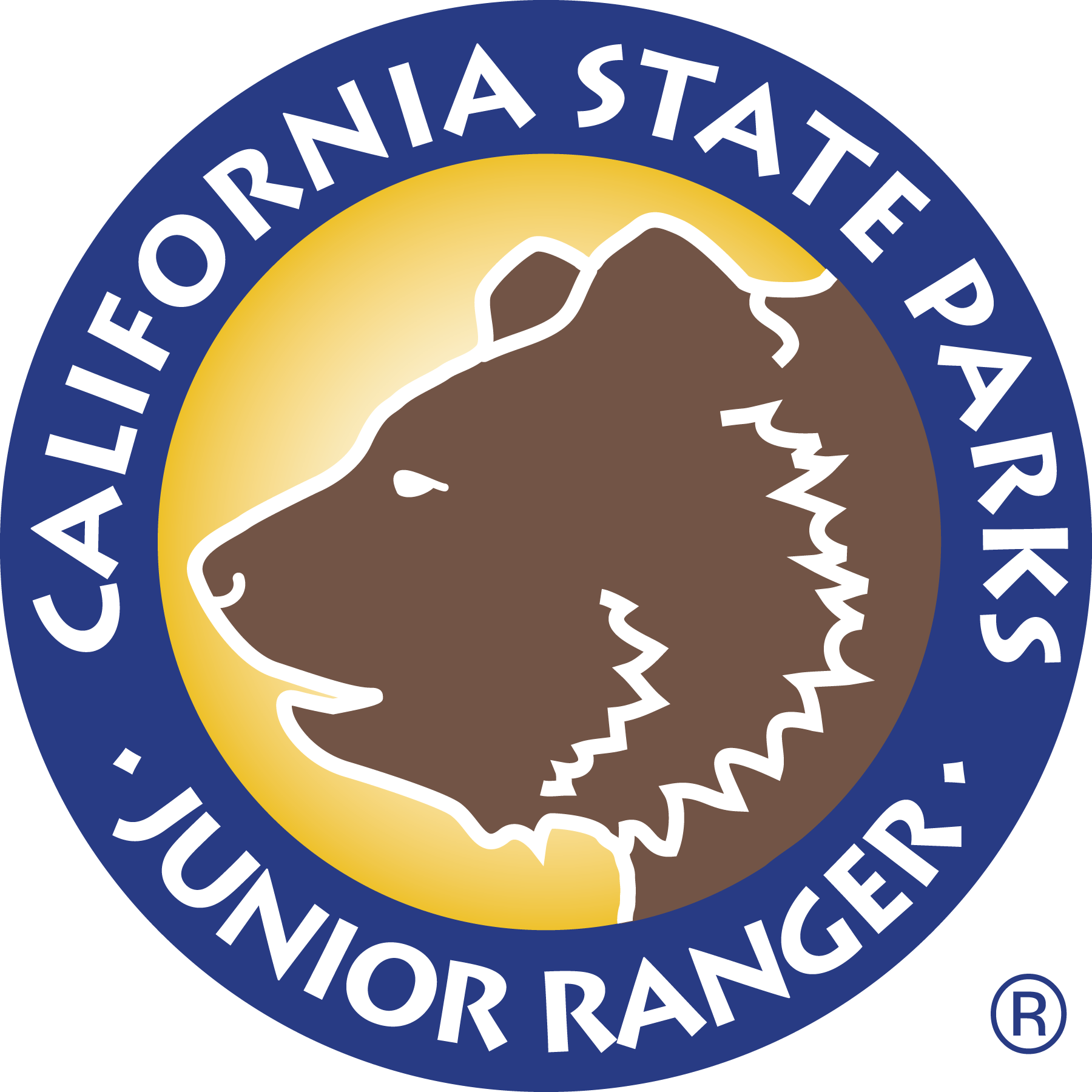 Jr. ranger logo
